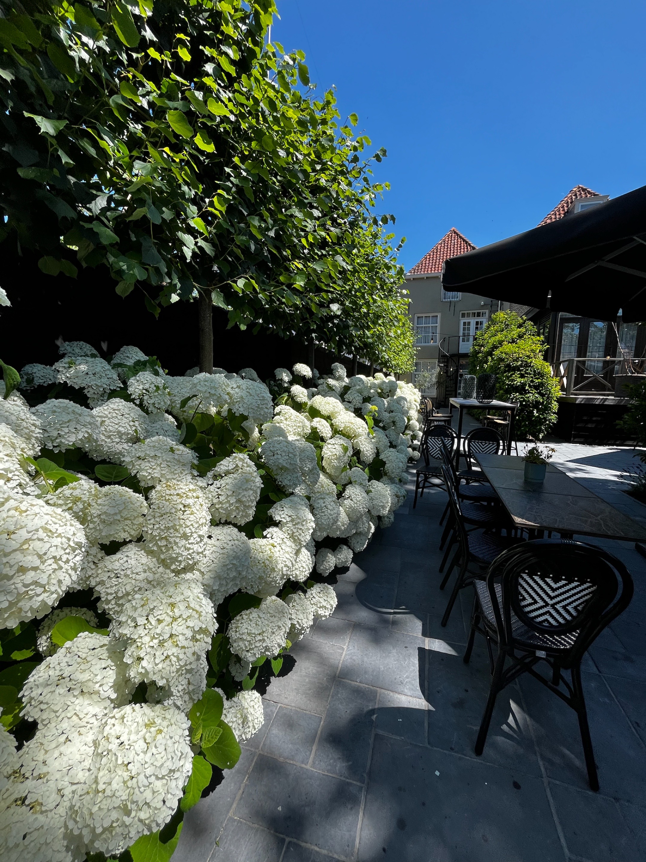 Unieke tuin